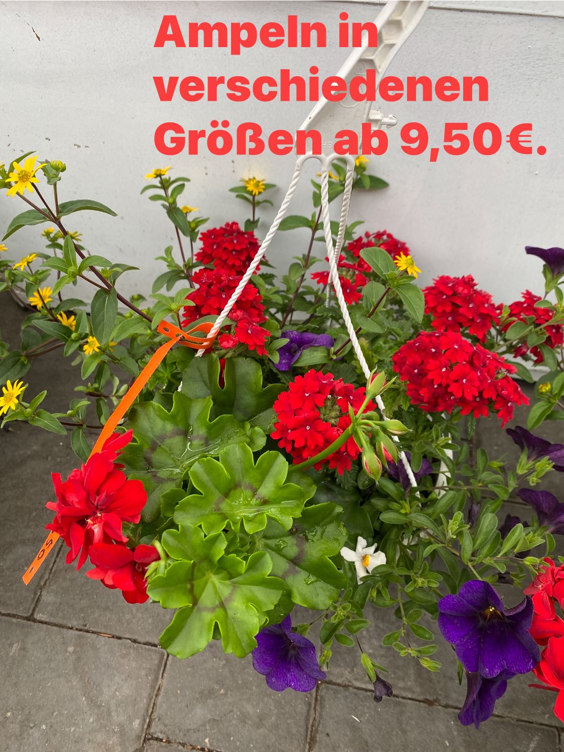 Hackmann Heinz Gärtnerei, Hauptstraße 2 In 49751 Werpeloh – VWKWLK