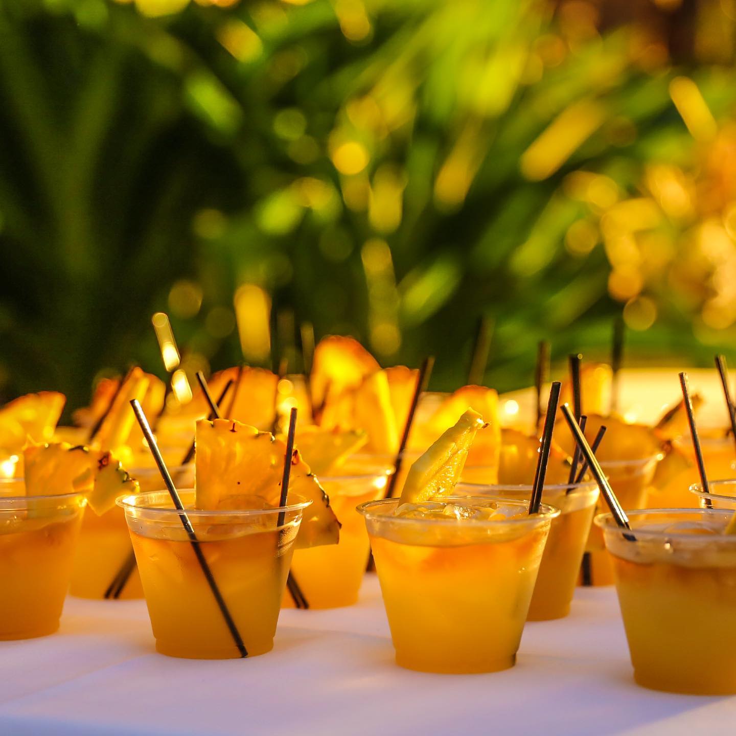 Boca Raton Luau | Boca Raton FL