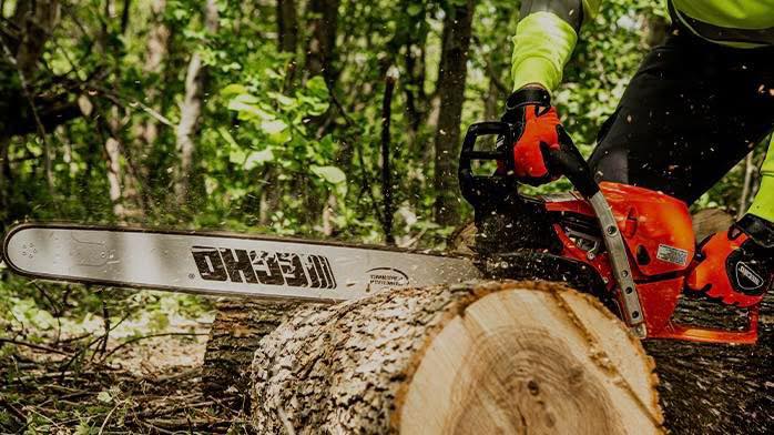 Tree Munks Tree Service | Signal Mountain TN