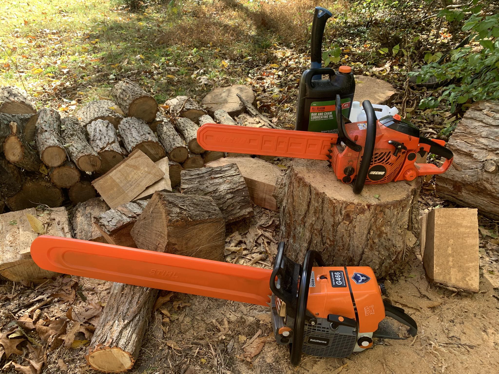 Tree Munks Tree Service | Signal Mountain TN