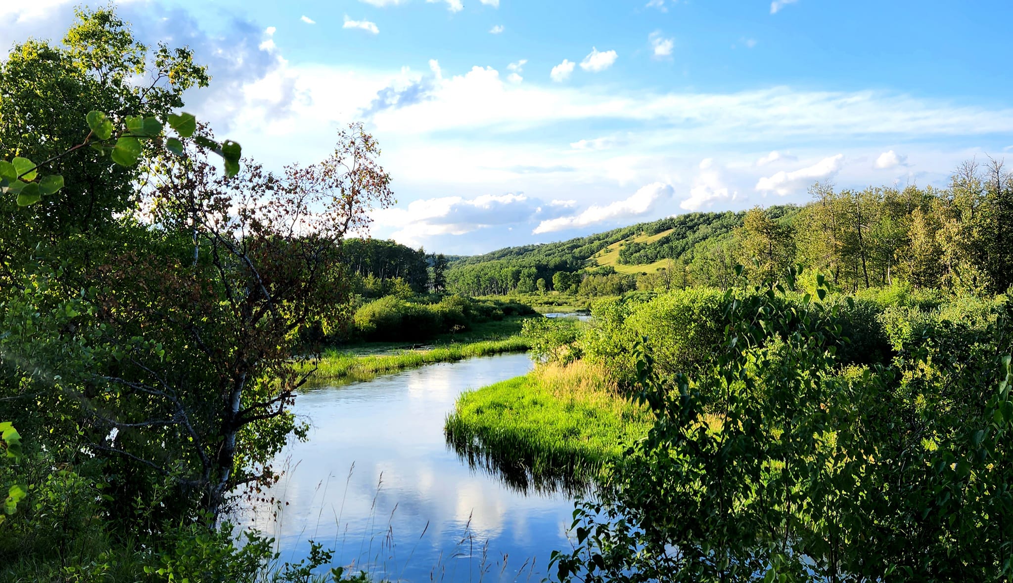 Prairie Mountain Hunting | Strathclair MB