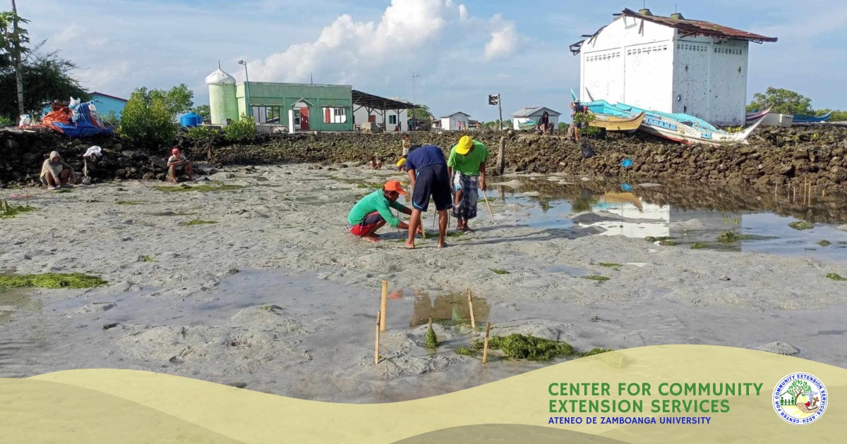 𝐂𝐂𝐄𝐒 𝐔𝐩𝐝𝐚𝐭𝐞|𝐋𝐨𝐨𝐤... - Center for Community Extension Services | Facebook