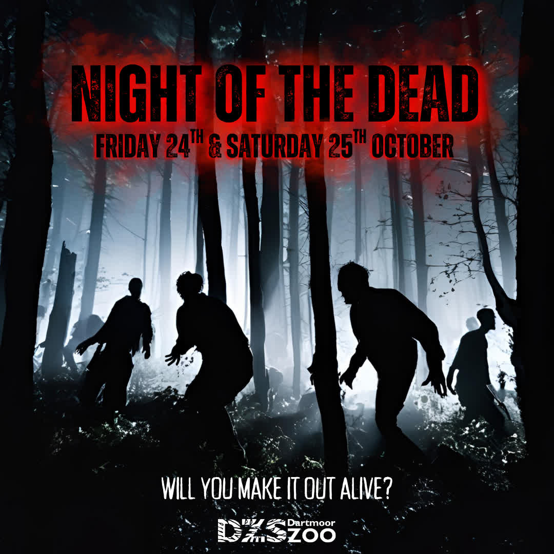 Dartmoor - Night of the Dead is BACK – BOO and improved! 👀 Do you have ...