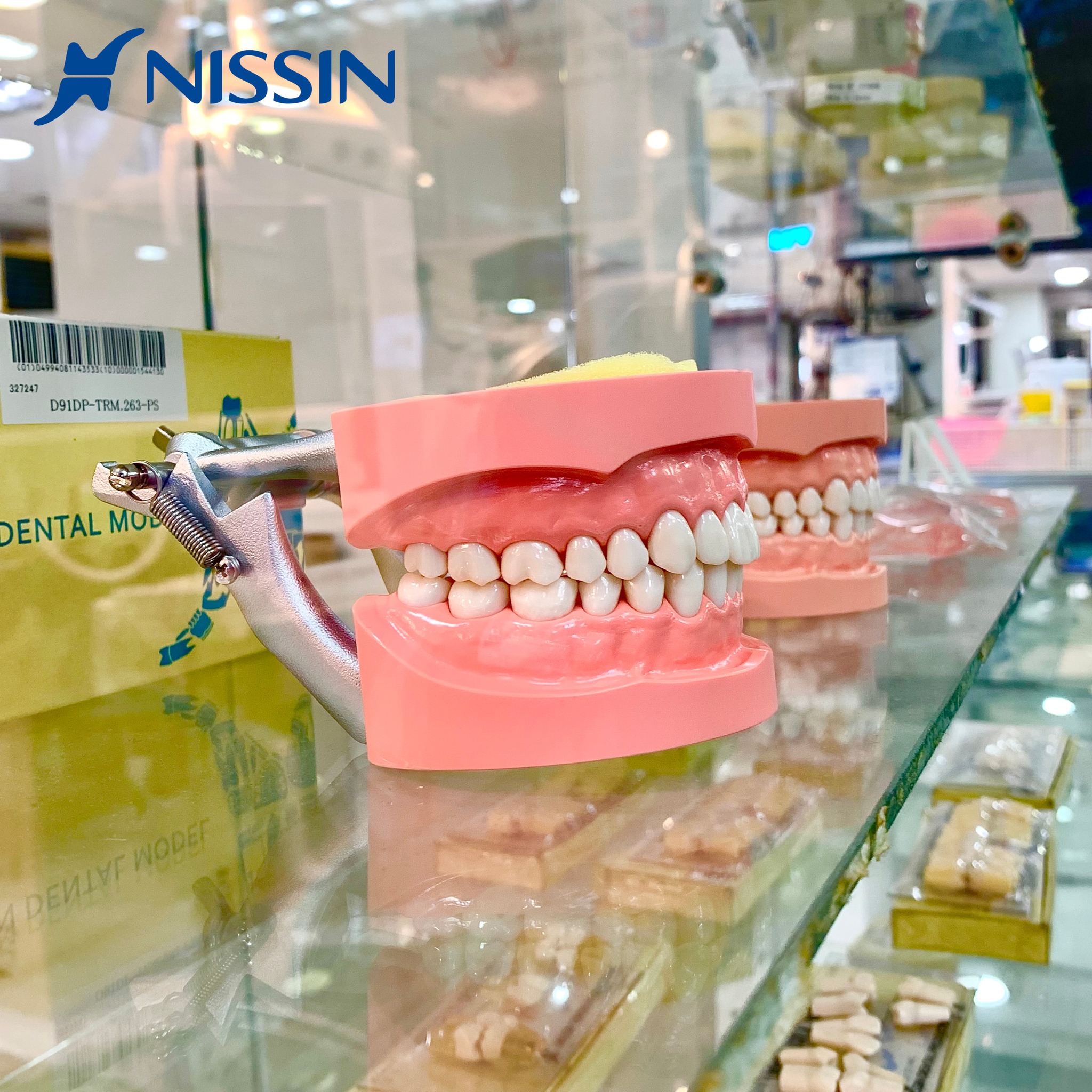 🦷✨ TOOTH be told… The Nissin B3-305 is the perfect way to start