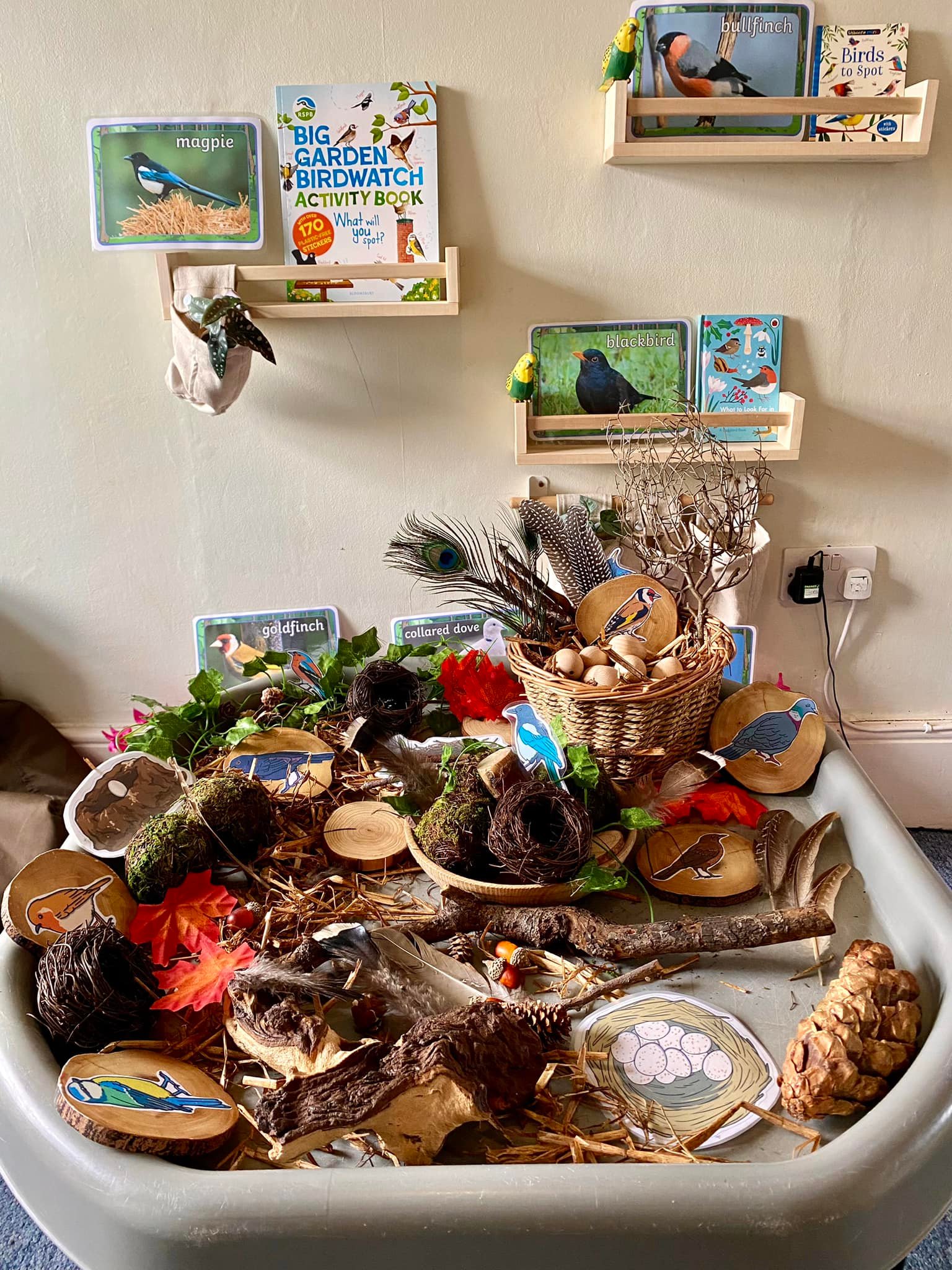acorns-nursery-acorns-nursery-added-a-new-photo
