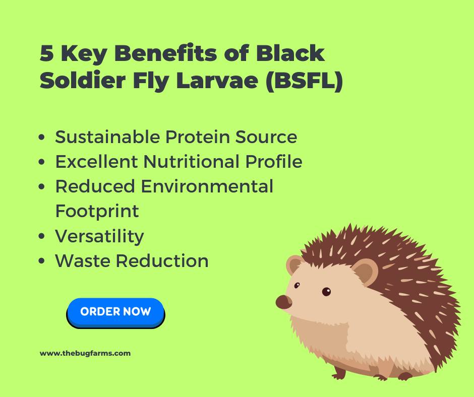 The Bug - 5 Key Benefits of Black Soldier Fly Larvae (BSFL) 🦎🐢🐦🌎🌱 1 ...