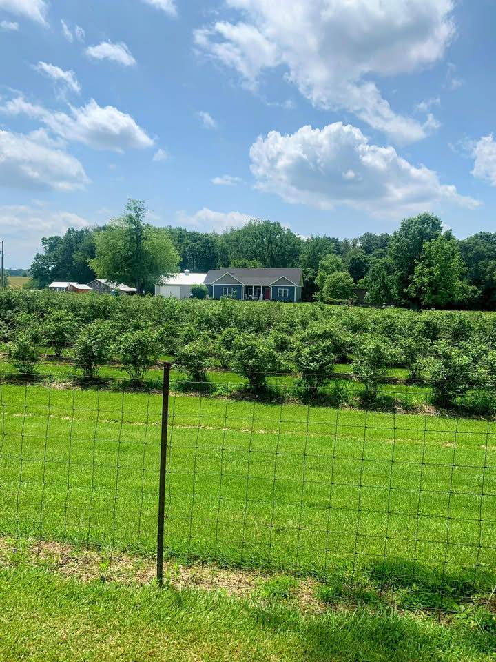 Clark's Berry Farm | North Vernon IN