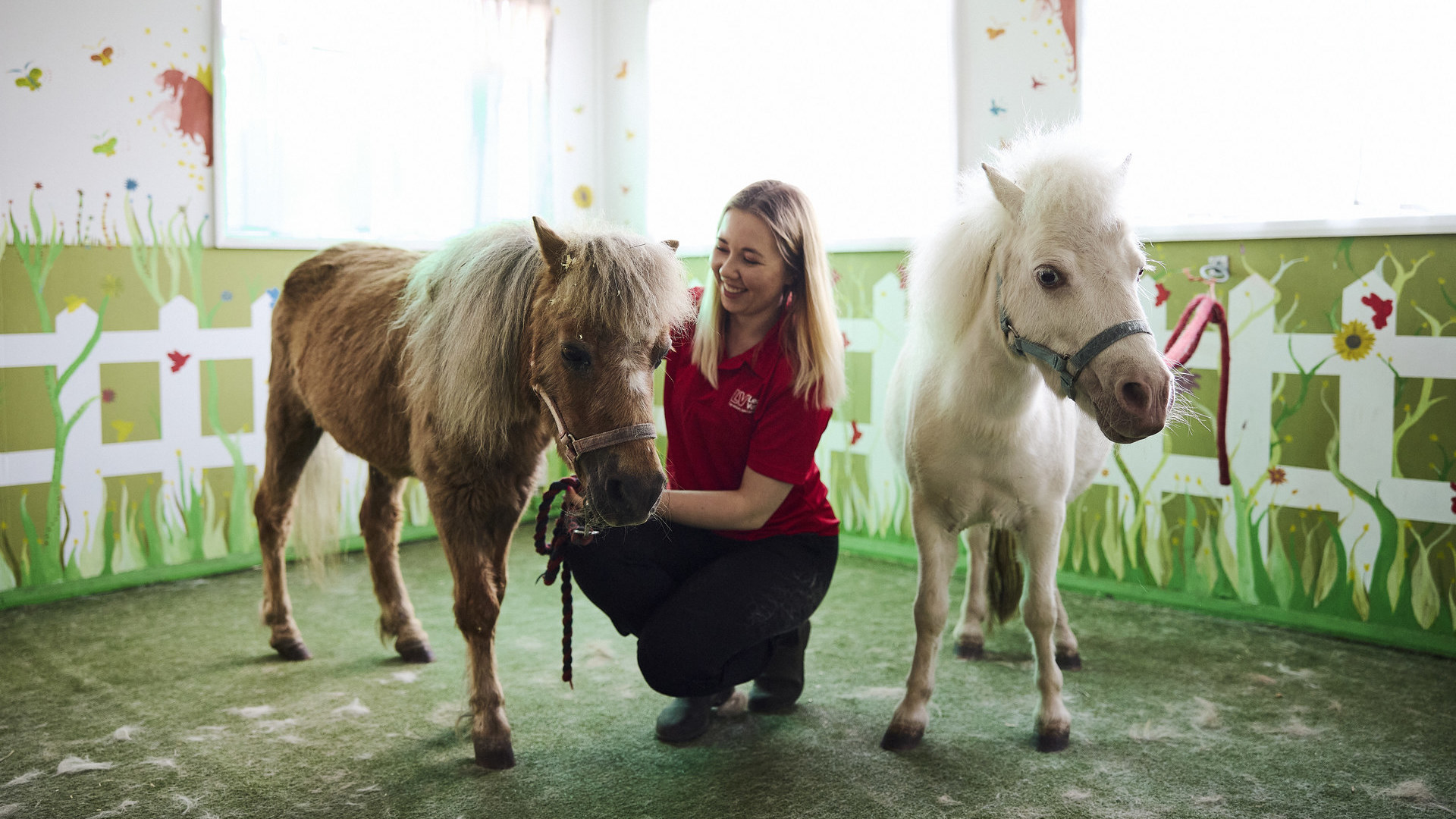 Lee Valley Riding Centre | London