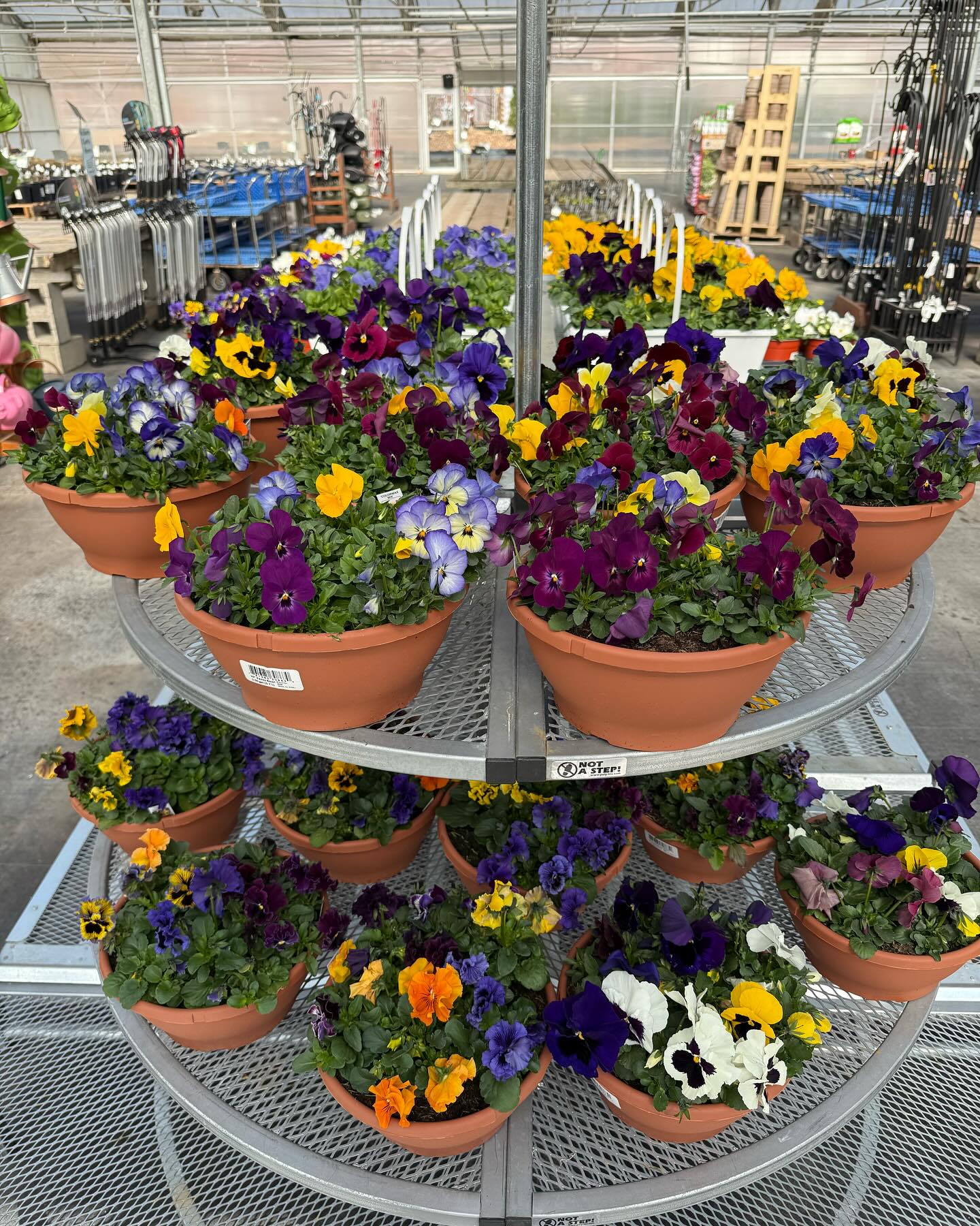 Frank Otte Nursery and Garden Center | Louisville KY