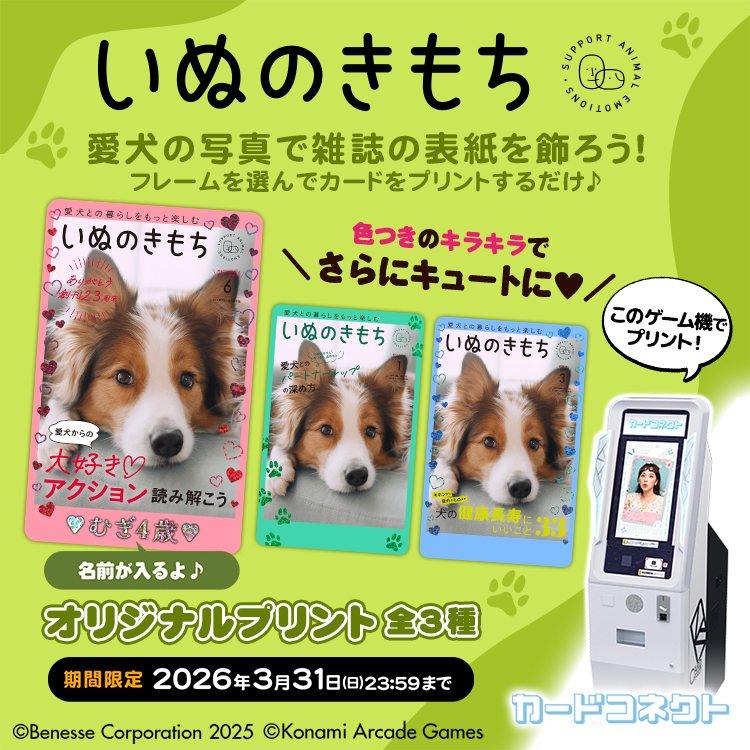 いぬのきもち WEB Magazine (@inunokimochinews) • Facebook