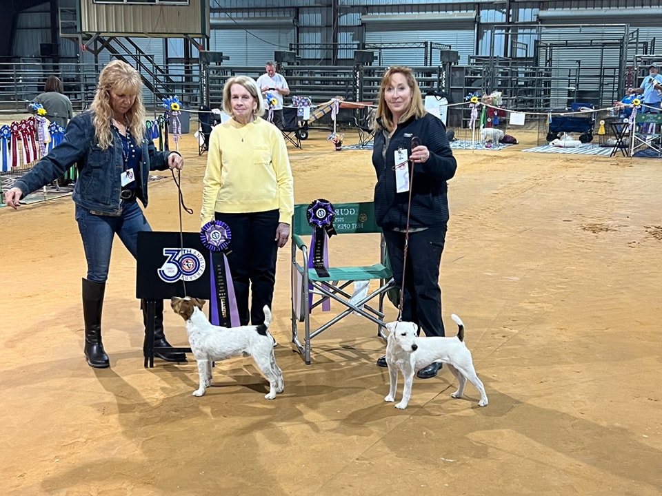 Snowcrest Jack Russell Terriers -Colleen Reeder