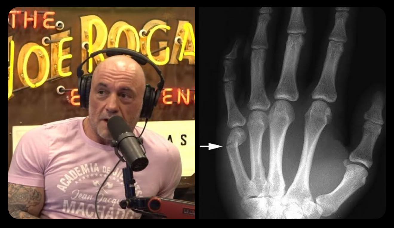 MMA - Joe Rogan suggests Alex Pereira fought Magomed Ankalaev with a ...