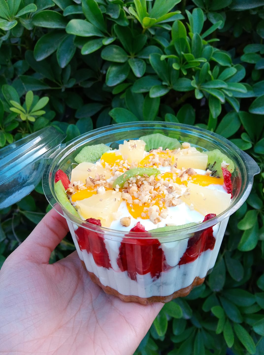 kicake.postres - Nuevo sabor! #Fruticake una bommmba 🤤🍓🍍🍑🥝 | Facebook