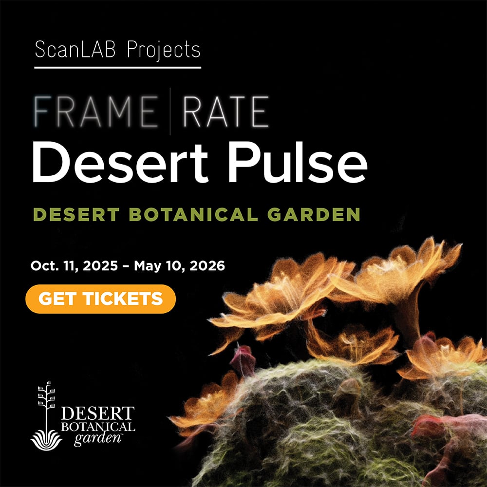 ONE - What makes Desert Pulse so special? 👀 The new exhibit - now open ...