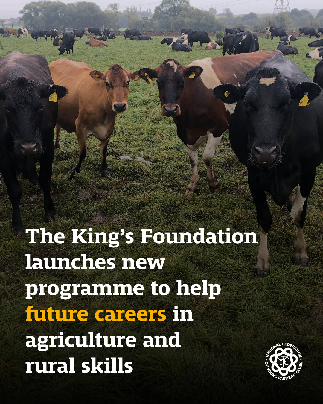 National Federation of Young Farmers' Clubs - Farm Safety Week starts ...