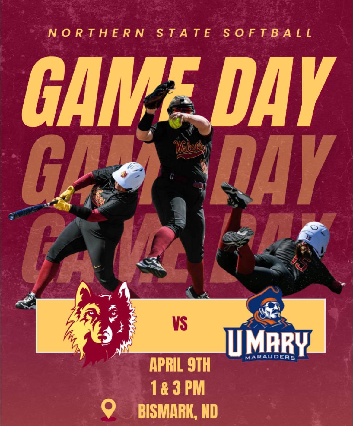 Northern State Wolves Softball