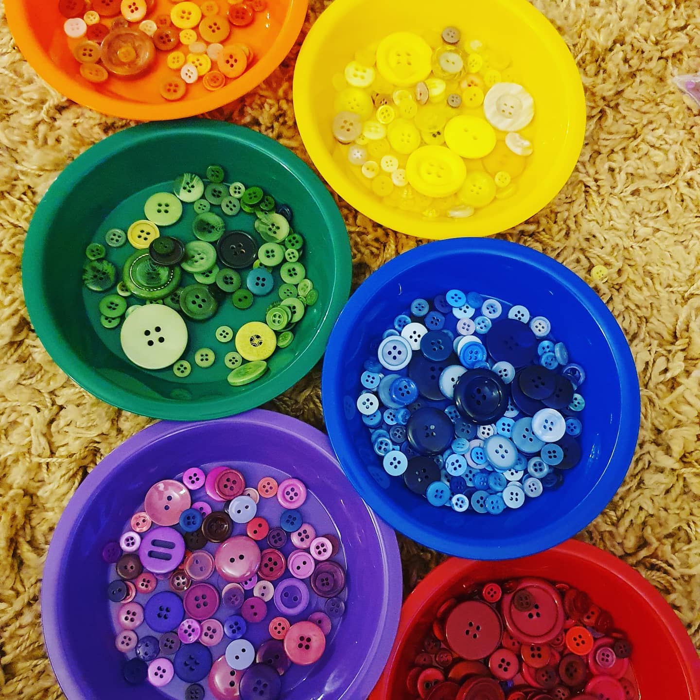 Sorting Saturday 🌈 Busy... - Little Learning Box Company