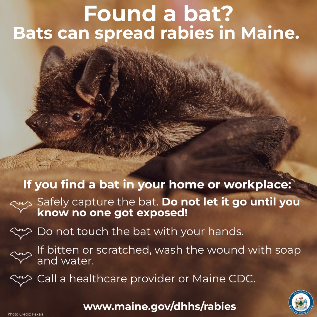 Maine CDC