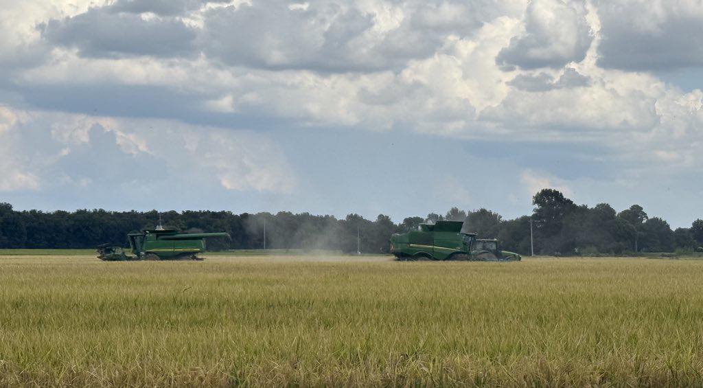 Arkansas Extension - Cross County | Wynne AR