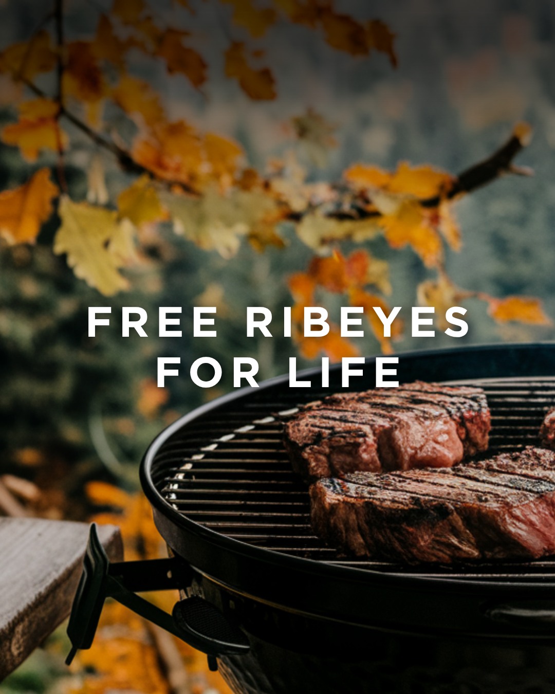 Backyard - This fall, lock in a deal of the year. Free Ribeyes for Life ...
