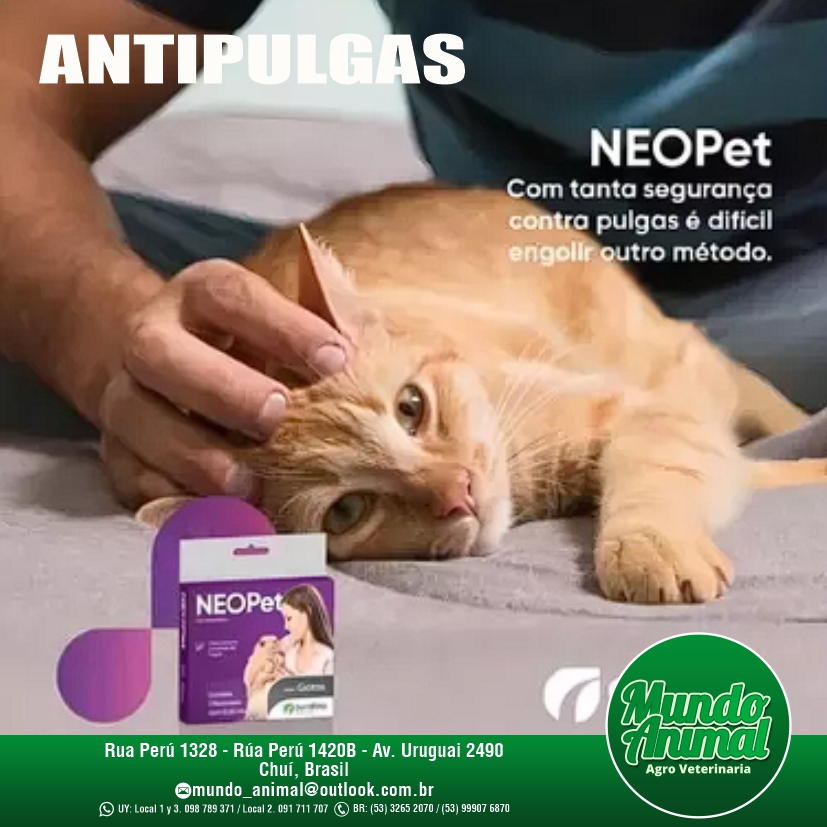 🐾 ¡Protege a tu gato con Neopet de... - Mundo Animal - Chui | Facebook