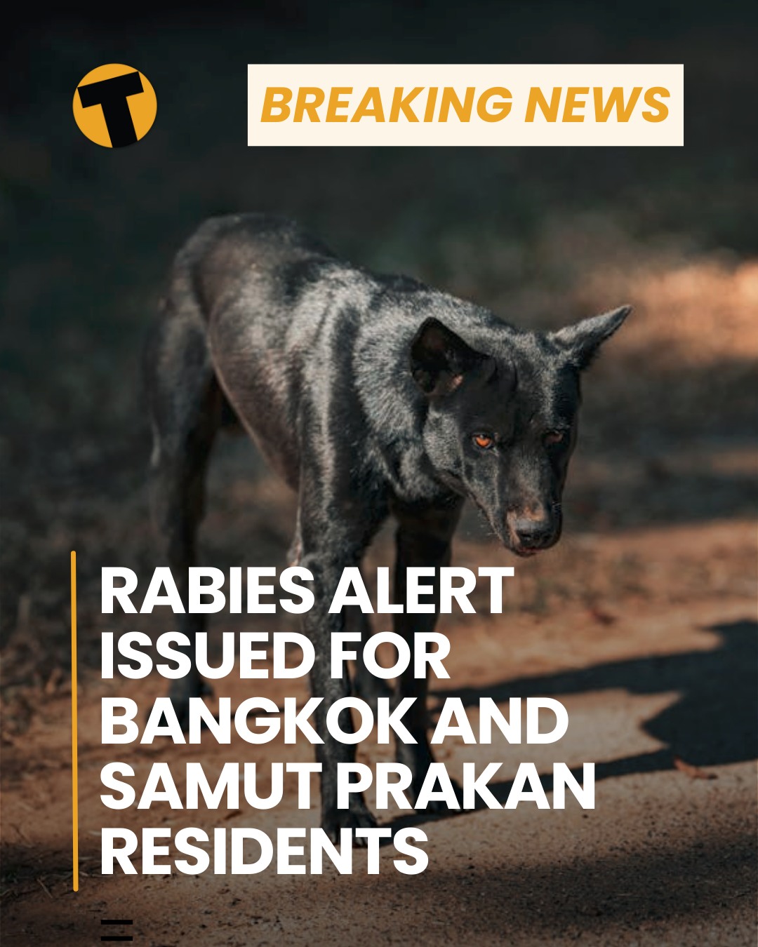 The Thaiger - The Thailand Rabies Control Group has issued a rabies ...