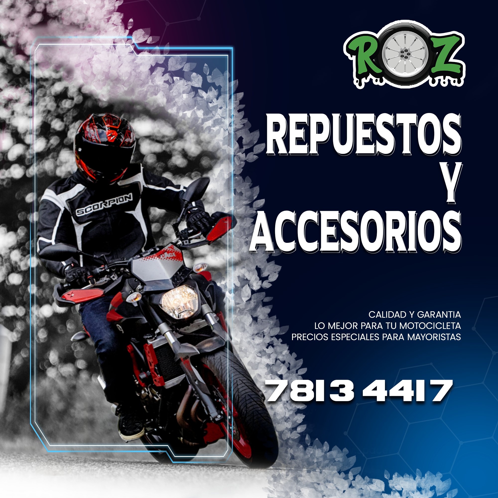Design Devsoft - Moto Custom Roz Diseño de logos, post,...
