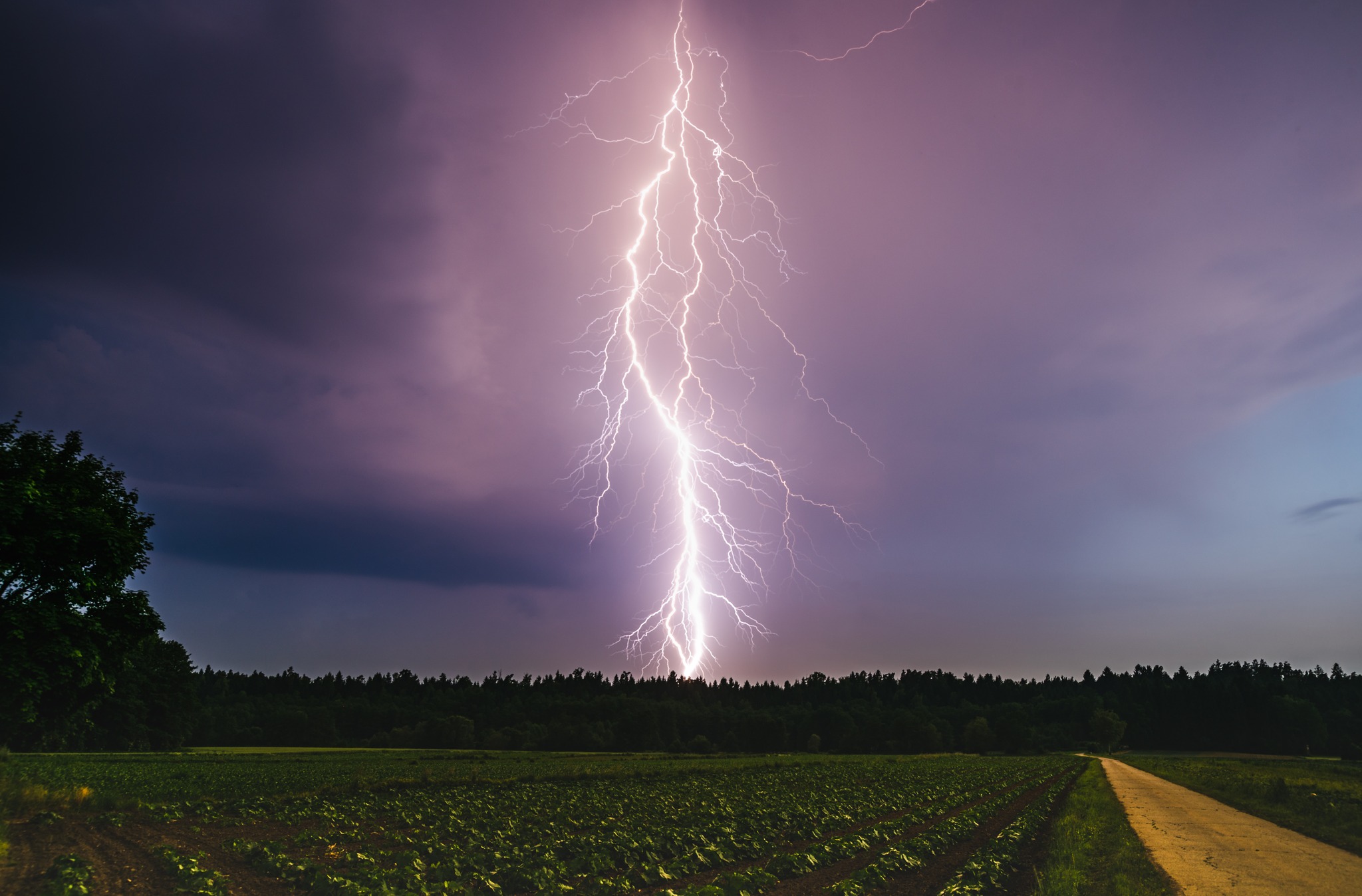 STEM - //你知道閃電是怎麼「點亮」天空的嗎？// 在香港的颱風季節，雷雨天總是讓人又驚又怕，尤其是那劃破天空的閃電（Lightning ...