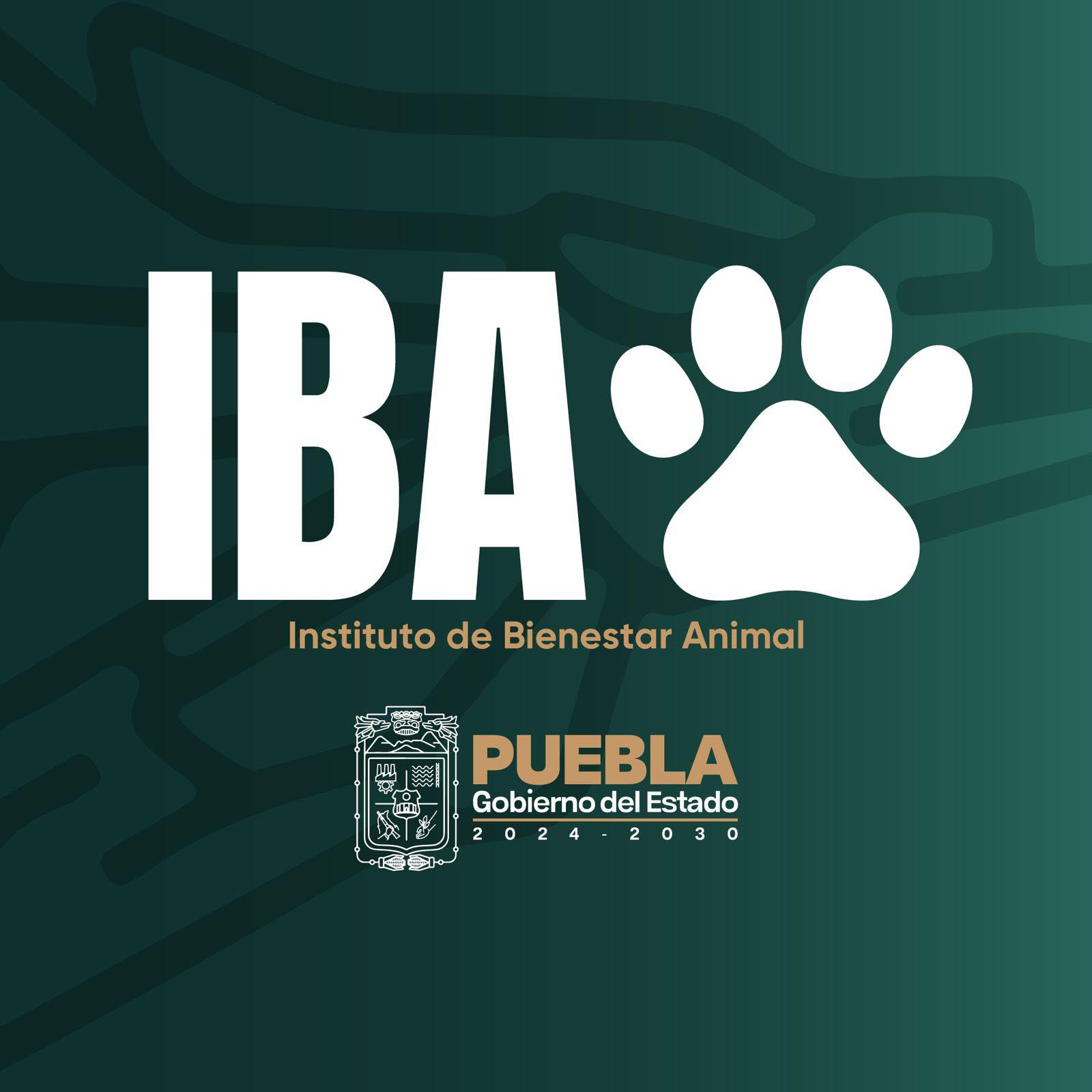 Instituto de Bienestar... - Instituto de Bienestar Animal