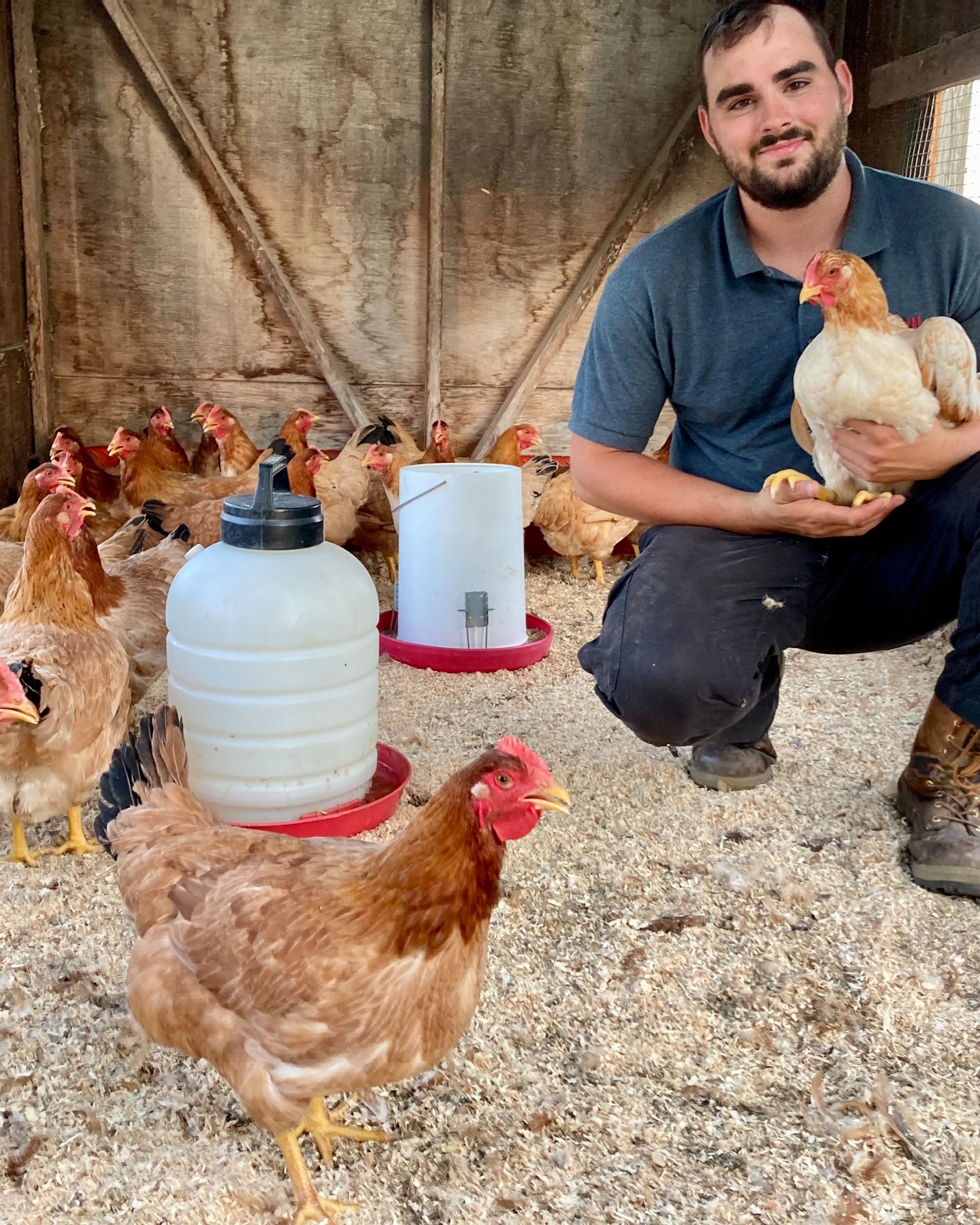 Ferme Pomy - Rustic Rangers are large, hardy, slow-growth...