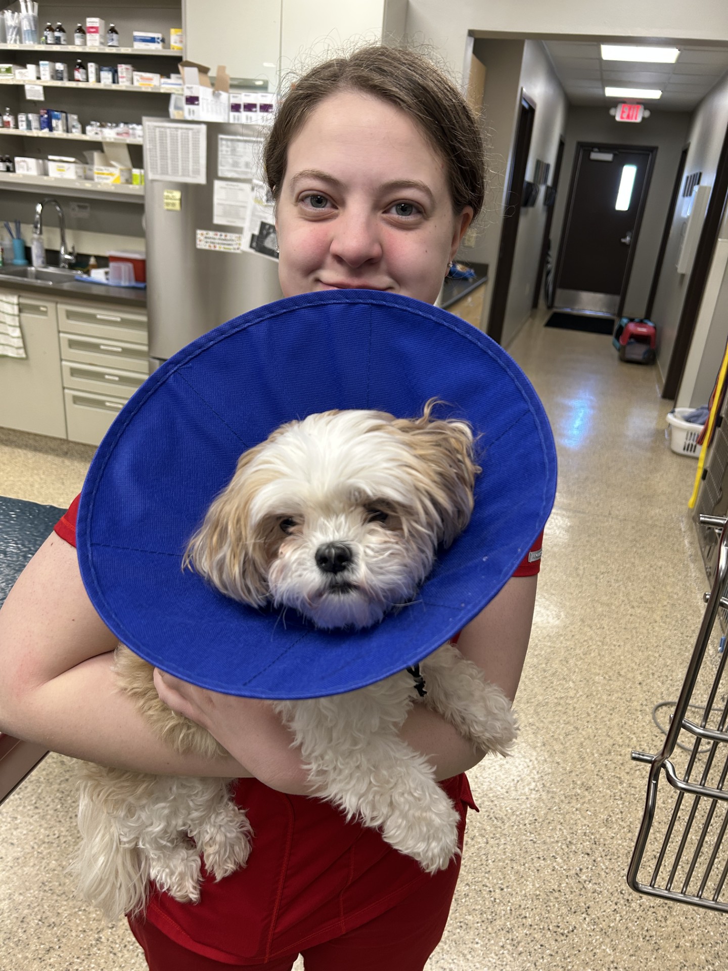 Riley's mom... - Animal Emergency Center of the Quad Cities | Facebook