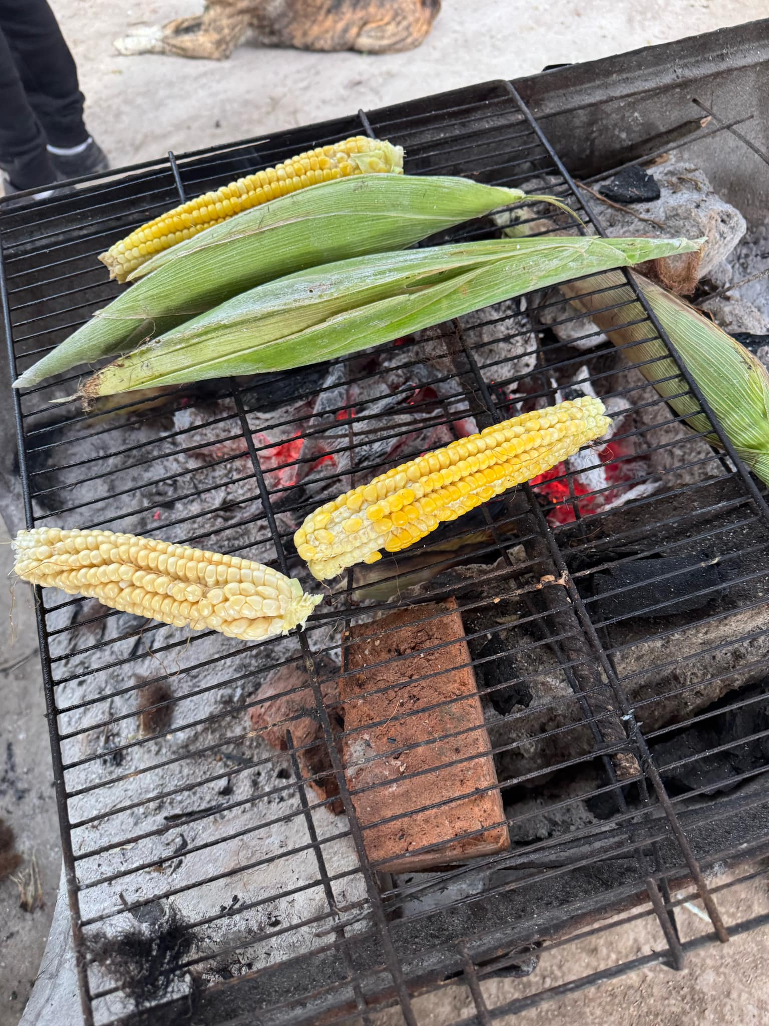 El Terrero Colima | El Terrero