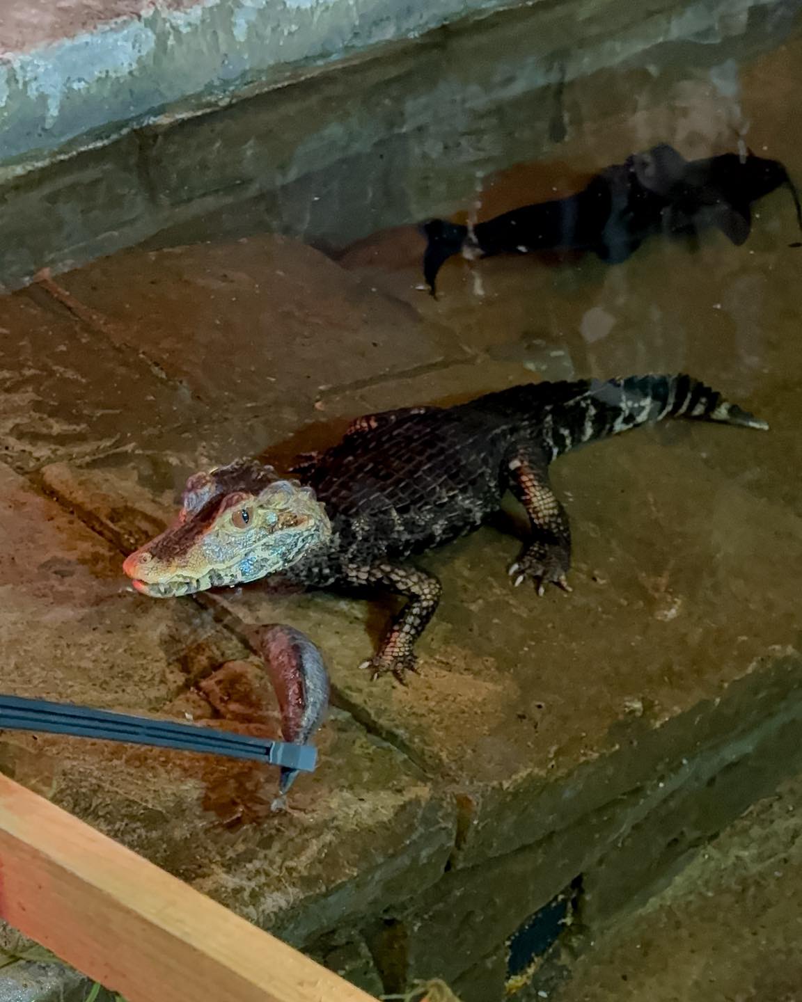 Exploris Aquarium | Portaferry