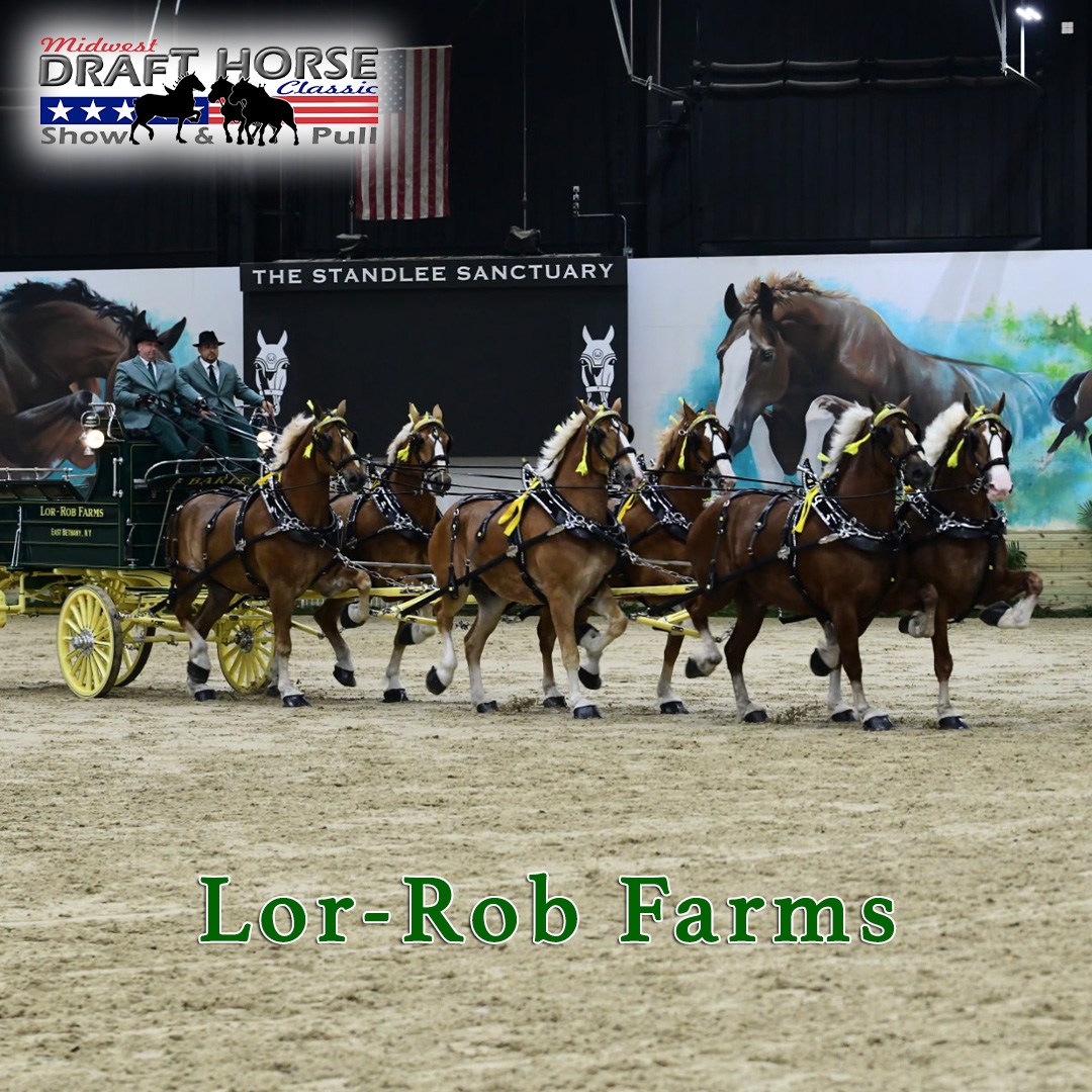 Midwest - Lor-Rob Dairy Farm Belgians Owner: Mark & Jocelyn Barie ...