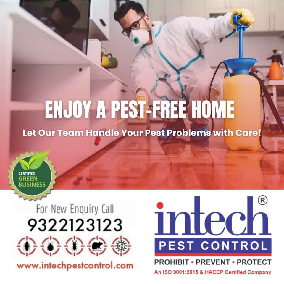 Intech Pest Control | Dombivli