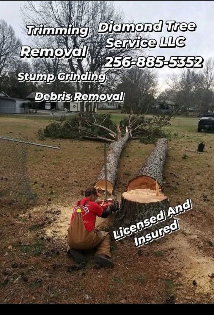 Diamond Tree Service | Decatur AL