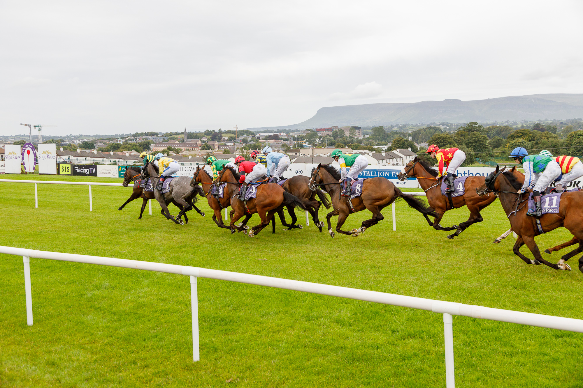 Sligo Races | Sligo