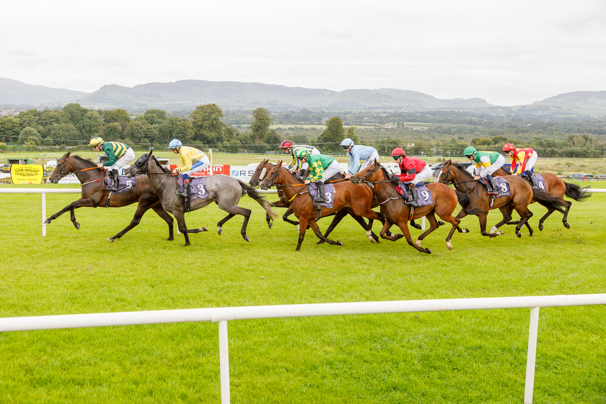 Sligo Races | Sligo