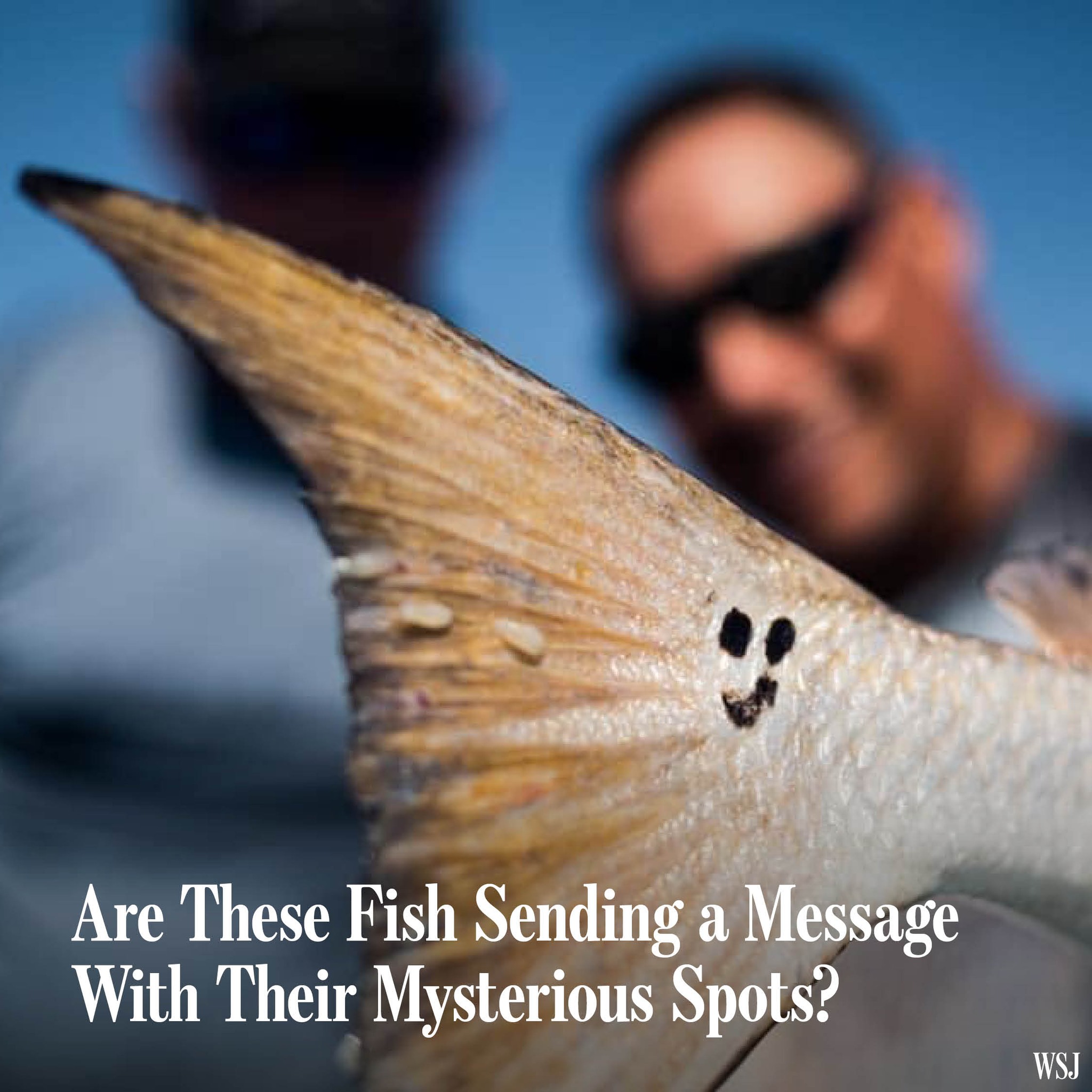 Redfish with perfect numbers,... - The Wall Street Journal | Facebook