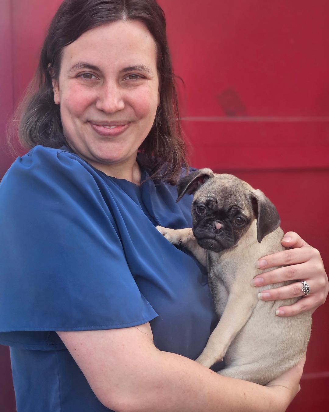 Pug Nation Rescue of... - Pug Nation Rescue of Los Angeles