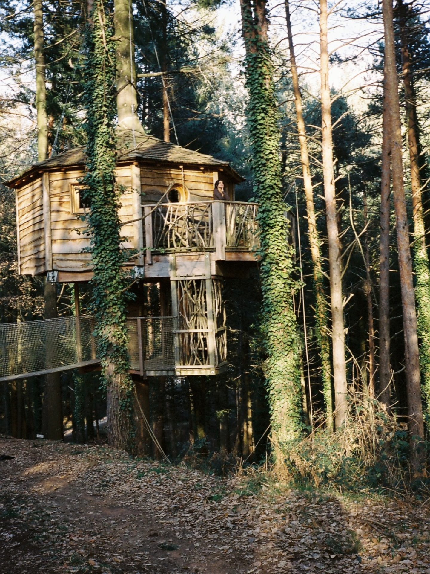 caba-as-en-los-rboles-cabanes-als-arbres-san-hilario-sacalm