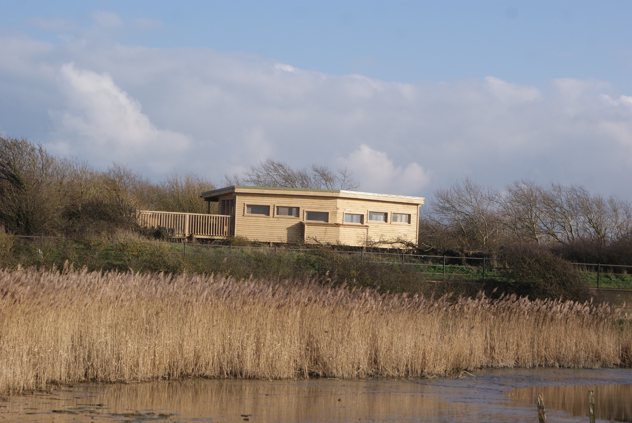 The Sussex Ornithological Society