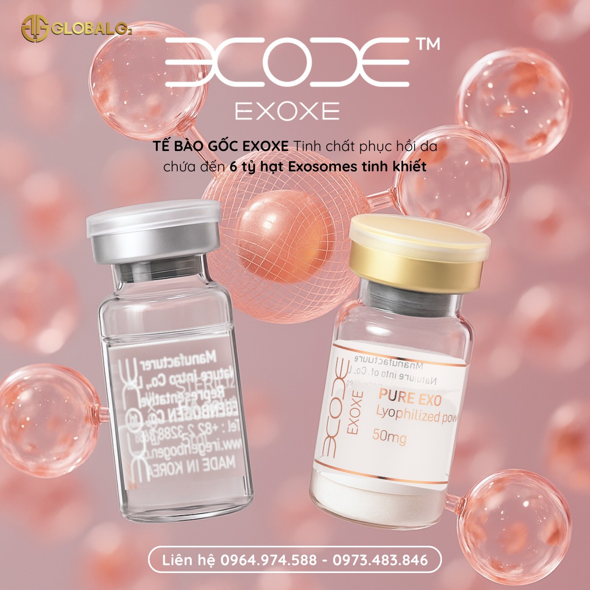 BHL - EXOXE – Giải pháp hồi sinh làn da từ công nghệ Exosomes Hàn Quốc ...
