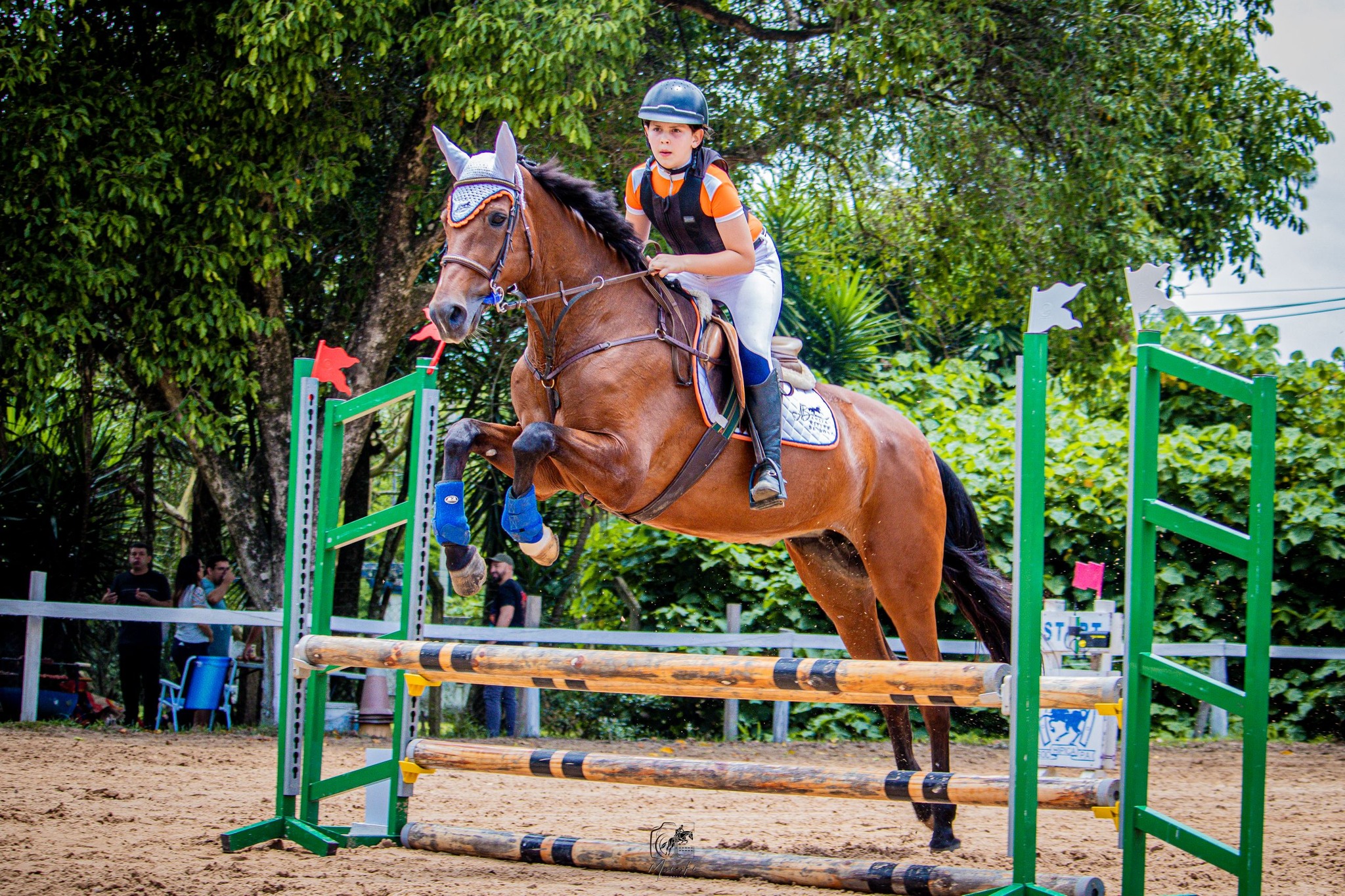 Centro - Amanhã inicia a Copa Gaúcha de Hipismo! 🏆🐴🐎🐴🏅🏆🐎😊 Equipe Bevito ...