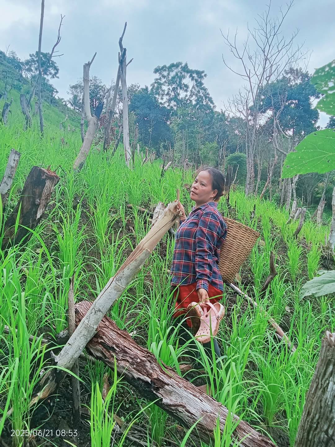 Subanen Tribe - We are Subanon! The Subanon tribe, also called as ...