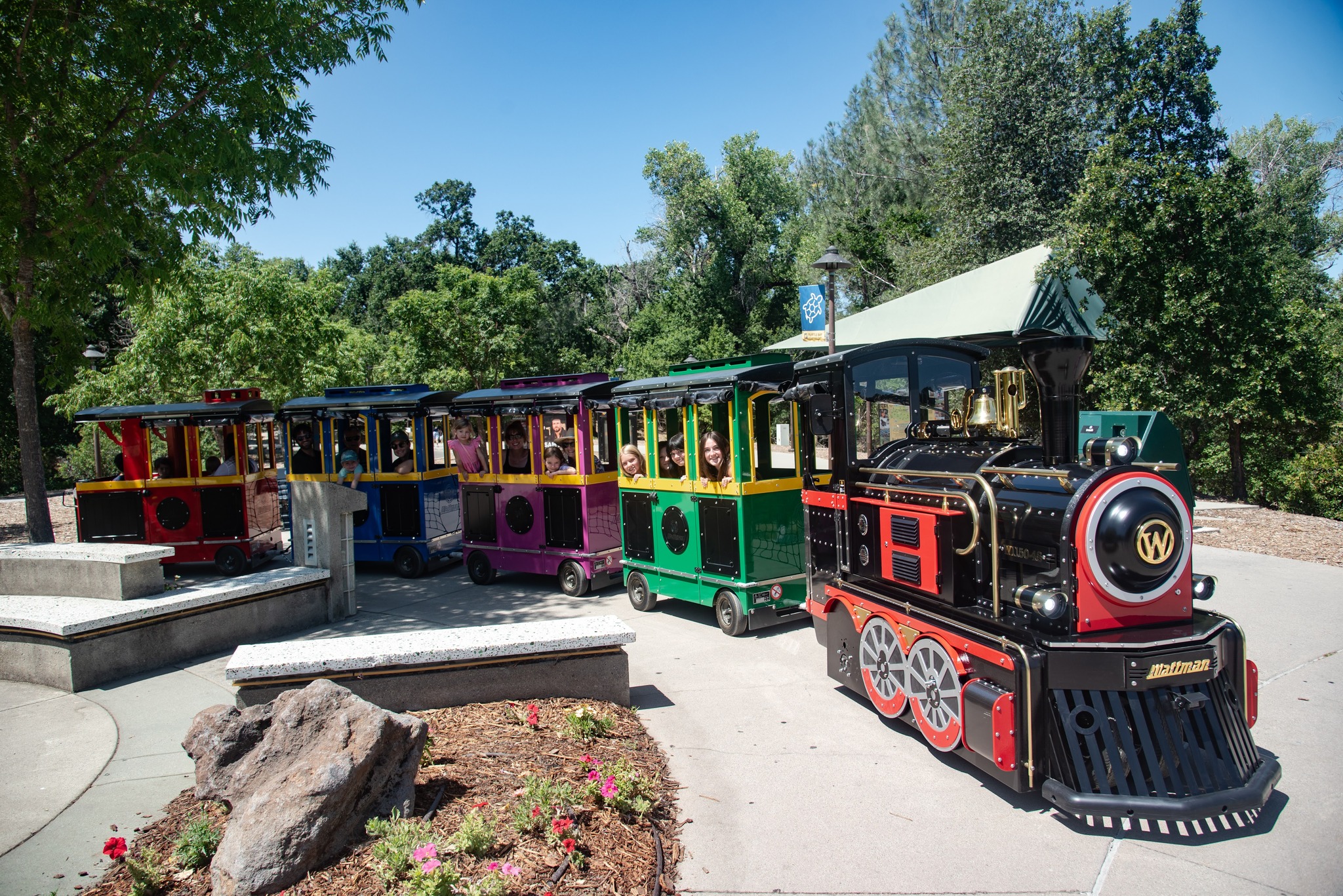 All aboard the Turtle... - Turtle Bay Exploration Park | Facebook