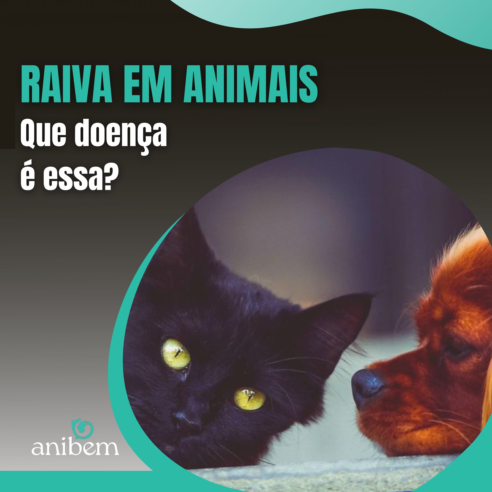 A raiva é uma doença... - Anibem Clínica Veterinária