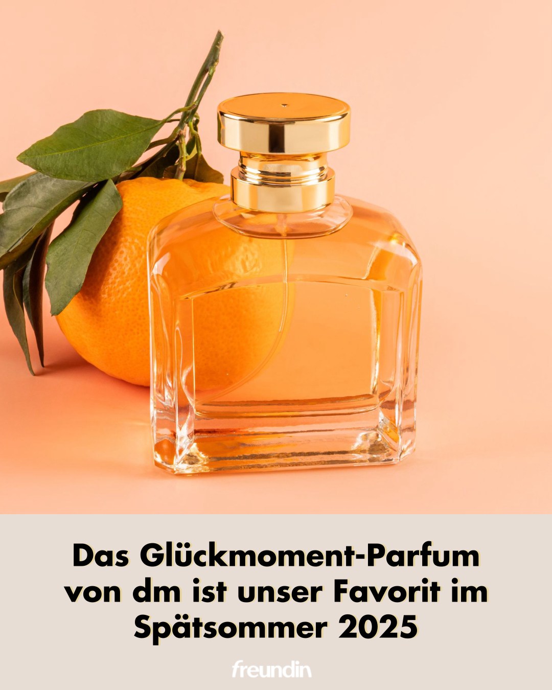 lampenschirm tischleuchte Coolie Stofflampenschirm – Armeegrün & Gold, E27, 28cm – Ystyle Sofabezug 2 Sitzer,
