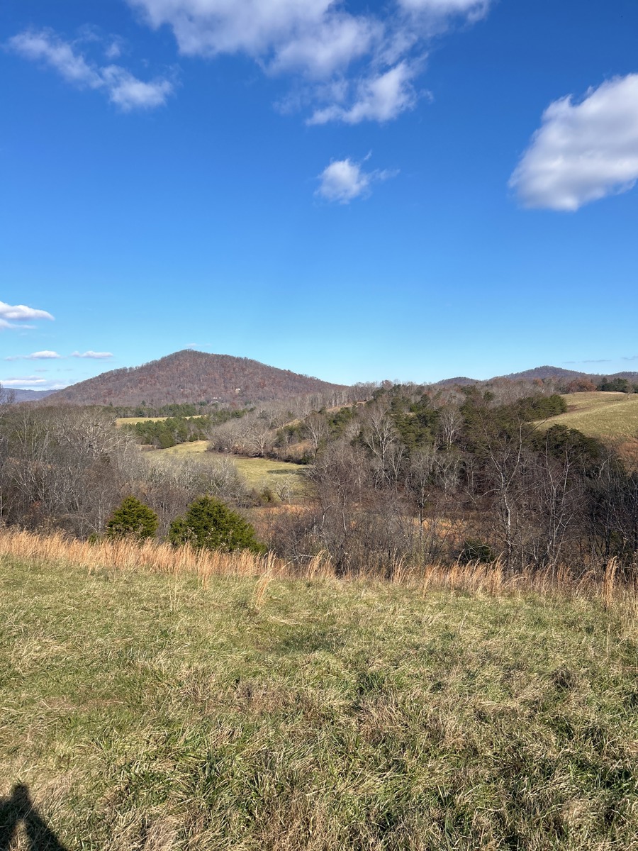 Blue Ridge Land Conservancy - Today's bat is the Indiana Bat. The ...