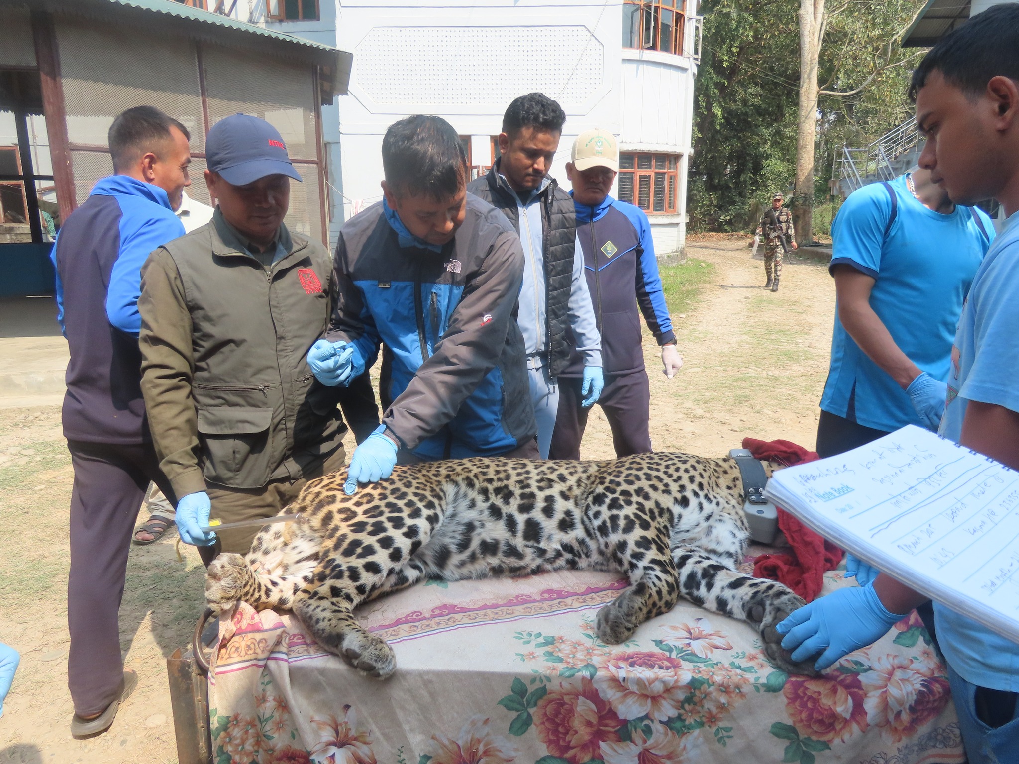 National Trust for Nature Conservation (NTNC), Nepal | Kathmandu